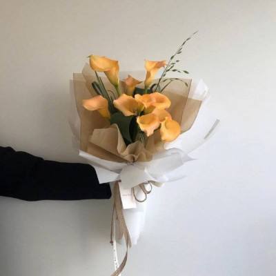 爱游戏appapp下载截图