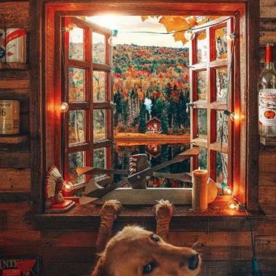 足球下赌注app-登录入口