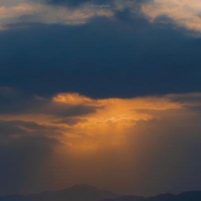 澳门天天免费资料大全下载